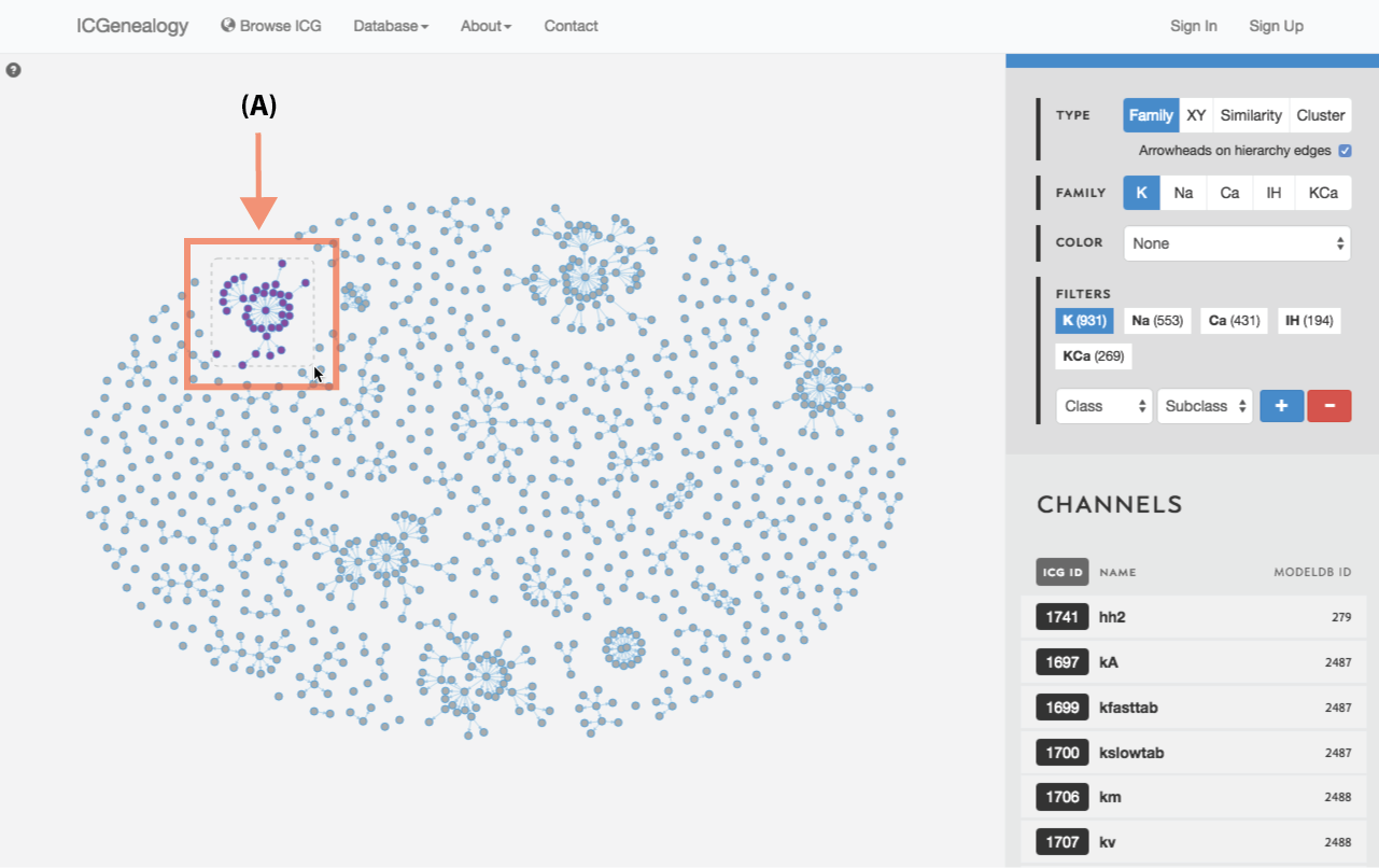 Figure 23: Compare models: shift+drag allows the selection of multiple models within a square window (A).