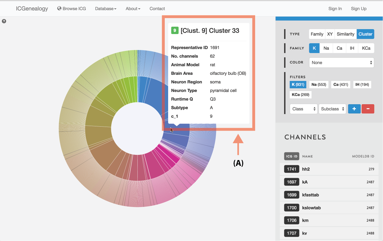 Figure 12: Type selection: cluster view tooltip for cluster information.