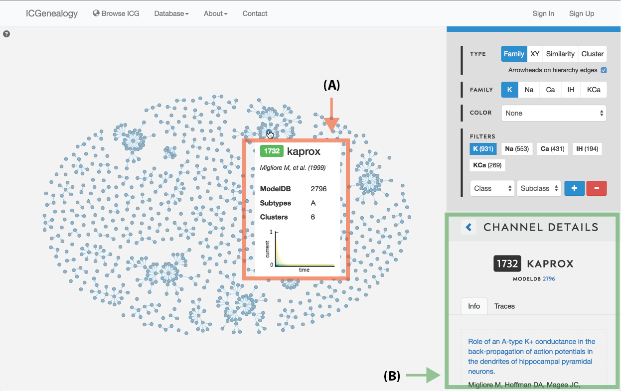 Figure 4: Selecting a model. A: a tooltip appears when the mouse hovers over a model in the visualization space, containing the following items: model ID, model name, reference, modelDB ID, subtypes, clusters and a small image of the traces.