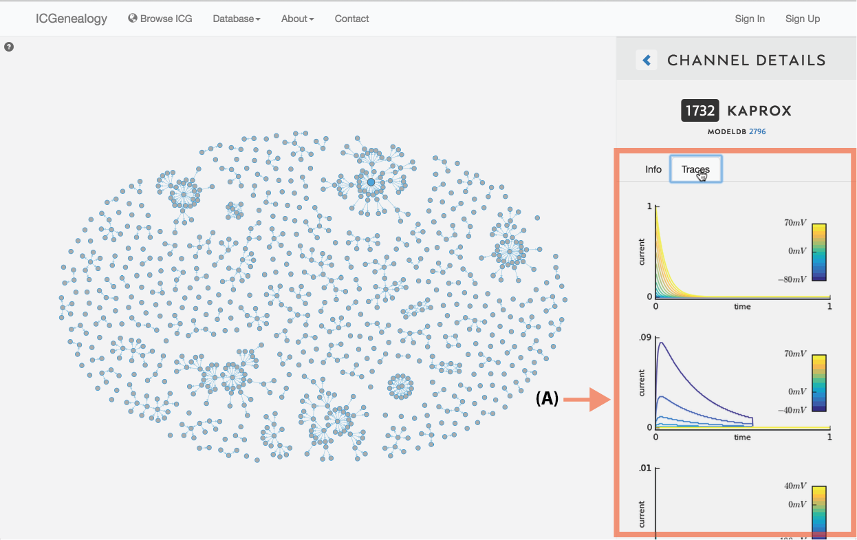 Figure 7: Simulation traces. Each model’s current response traces can be viewed by clicking on the Traces tab in Channel Details.